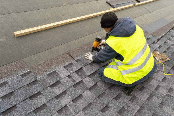 Best Roof Moss and Algae Removal  in Nevada, MO