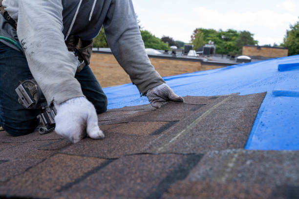 Best Cold Roofs  in Nevada, MO